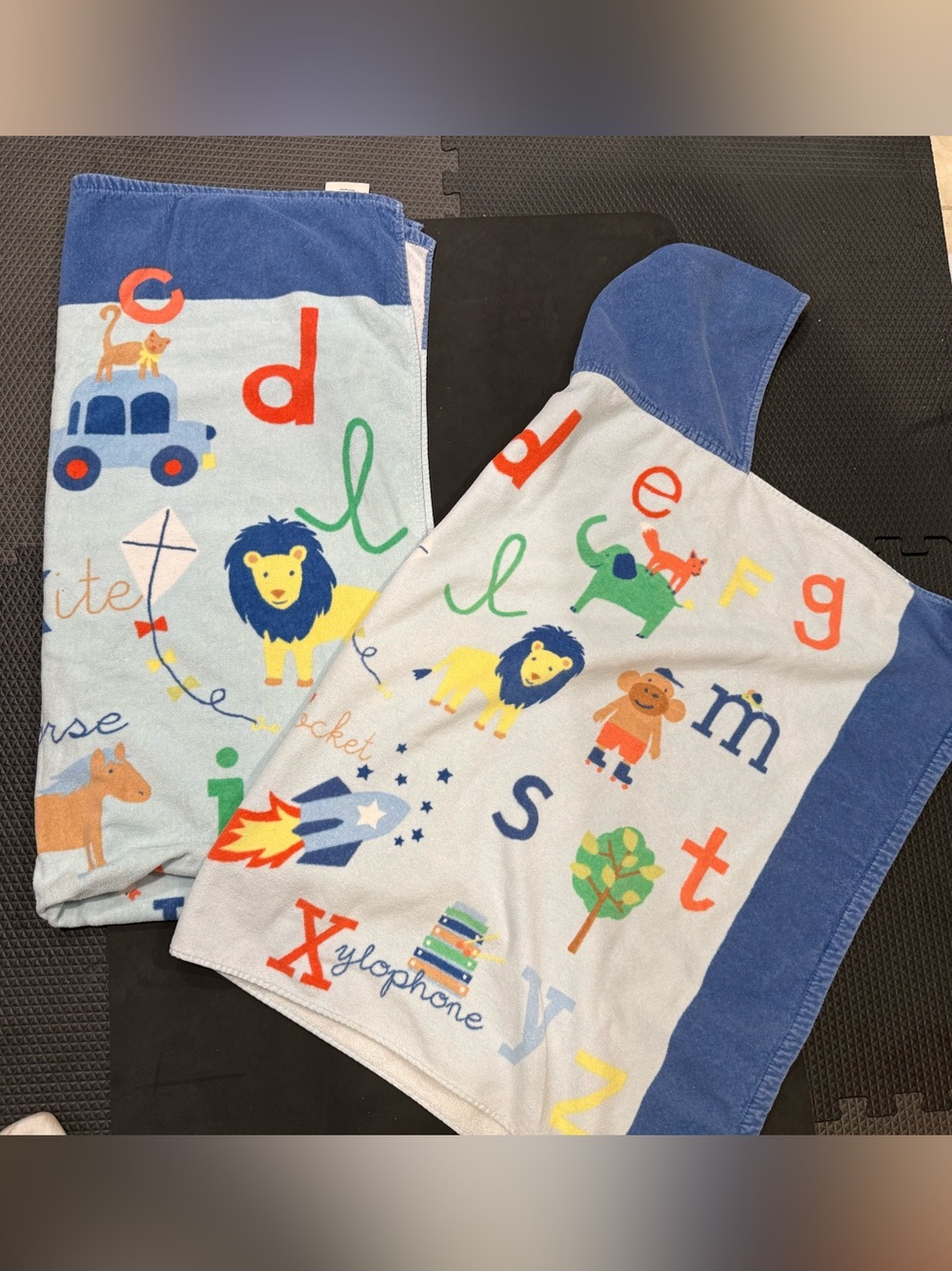 Pottery Barn Kids Hooded Towel & Matching Beach Towel